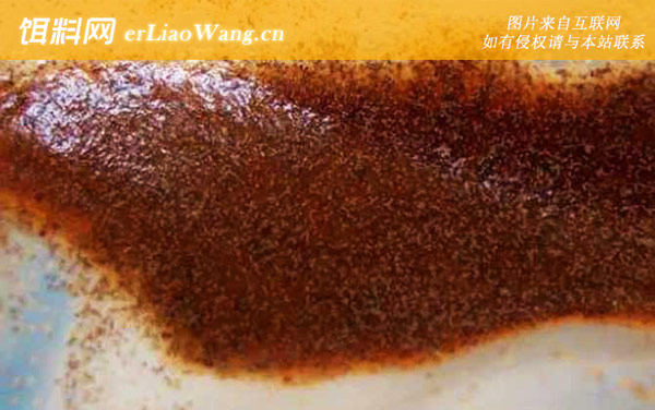 丰年虾:孵化方法