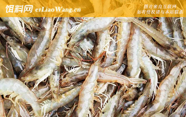 南美白对虾:分布范围