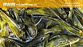 《嘎鱼养殖技术及病害防治》封面图