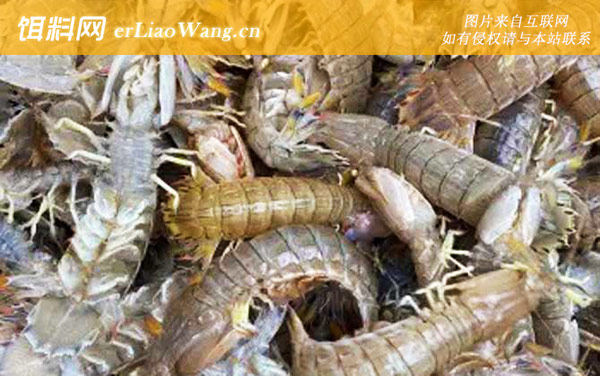 皮皮虾:社会评价