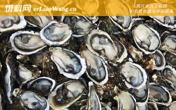 生蚝:生活习性