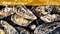 《生蚝怎么处理干净？》封面图