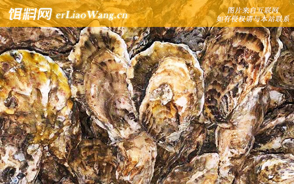 生蚝:食用价值