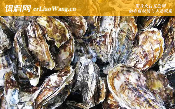 生蚝:冰块保存