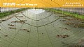 《大棚养虾技术》封面图