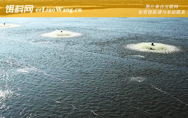 鱼塘设计:塘堤设计