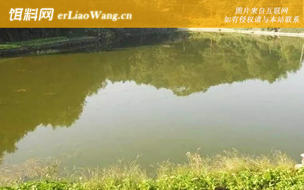 鱼塘设计要求及设计图-鱼塘建设