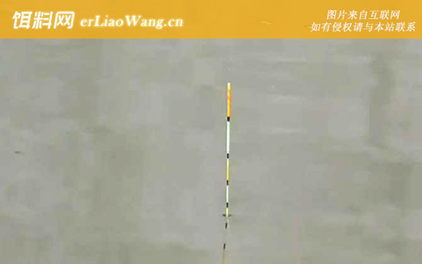 新手钓鱼入门基本功-钓法