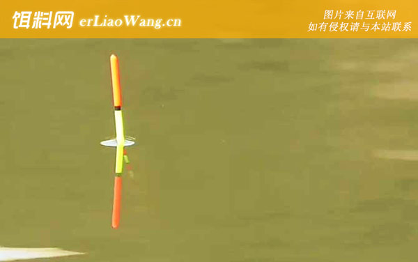 新手钓鱼入门基本功-调漂