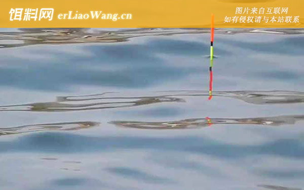 浮漂怎么调教程和技巧-调钓技巧