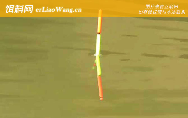 鱼漂怎么调钝和调灵-调漂方法