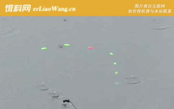 七星漂钓鱼:钓具