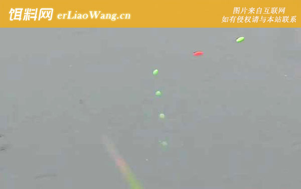 七星漂钓鱼:打窝