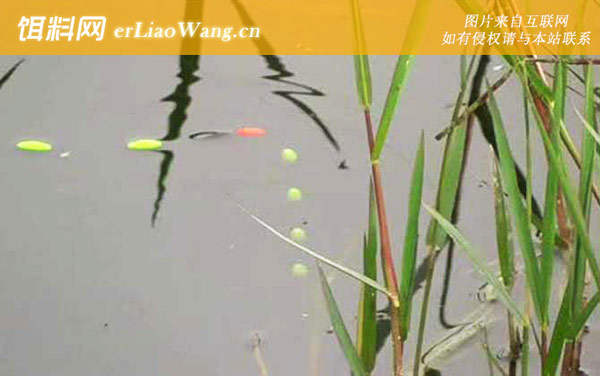 七星漂钓鱼:调漂方法