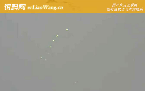 七星漂:调漂方法