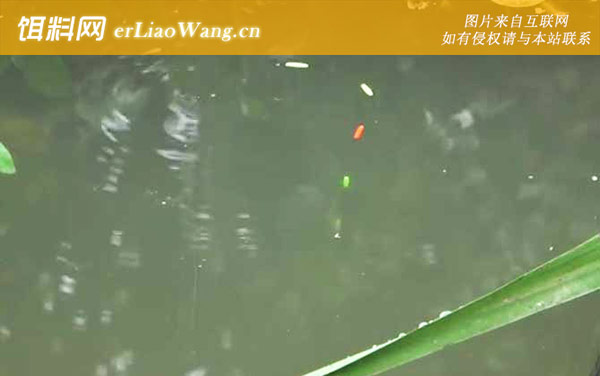 七星漂:注意事项