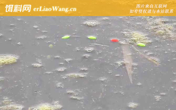 七星漂钓鱼:漂型定义