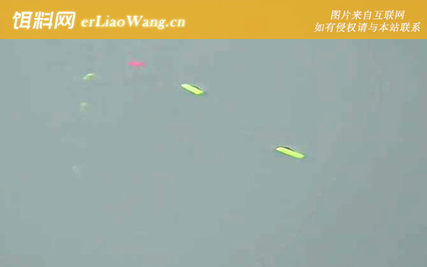 七星漂钓鱼:提竿时机