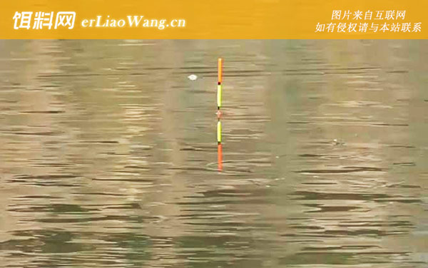 钓鱼死口是什么意思-灵顿论述