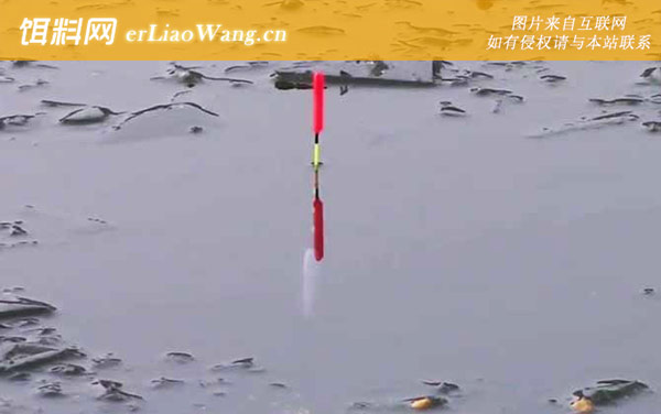 顶漂中鱼是漂调灵了还是顿了-提竿技巧