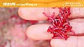 《河里野钓用什么鱼饵?》封面图