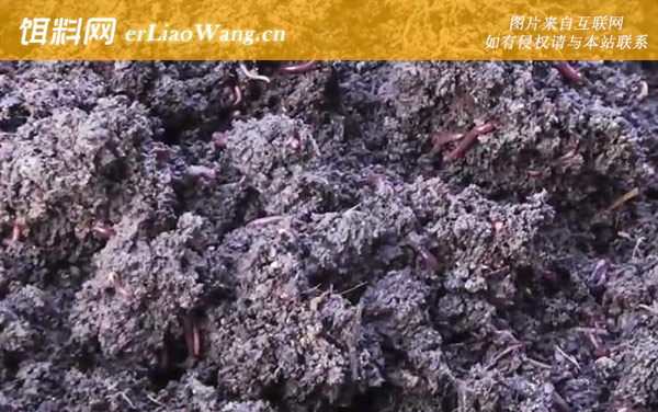 蚯蚓粪:施用效果