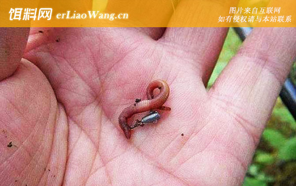 蚯蚓:挂钩方法