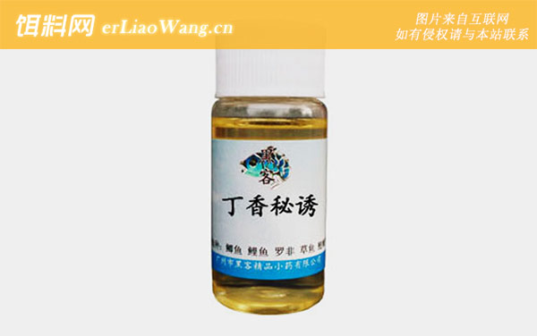 小药:丁香油