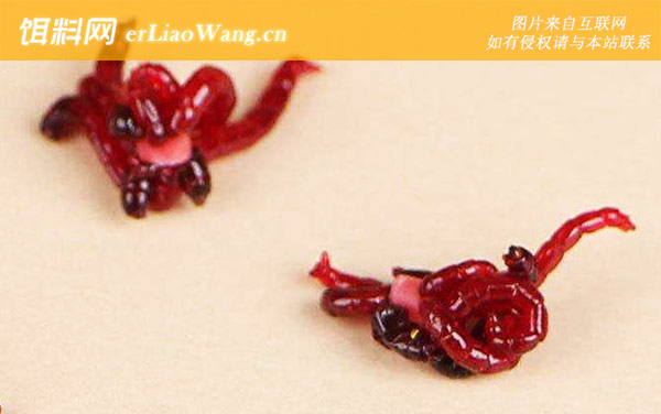 为什么红虫不能用手碰-生态价值