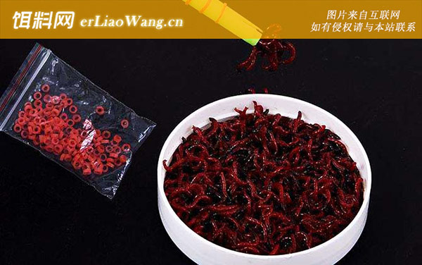 红虫钓鱼:适钓鱼种