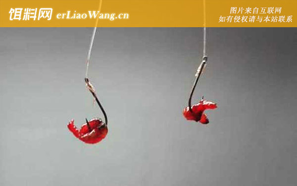 红虫钓鱼:调漂过程