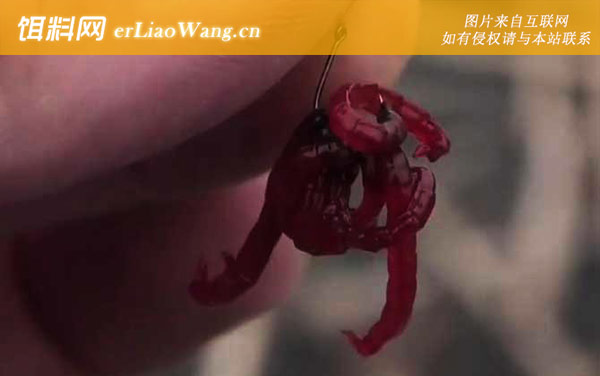 红虫:挂钩方法