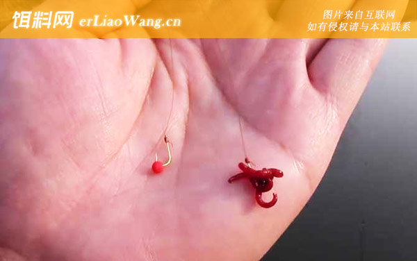 红虫钓鲫鱼:调漂方法
