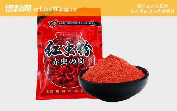 红虫粉:上饵方法