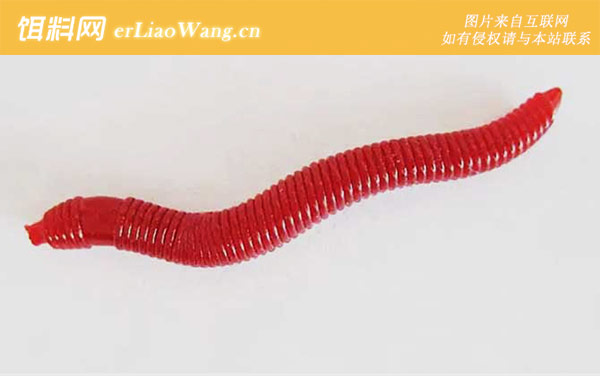 假红虫:适用场景