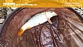 冬天钓鲤鱼什么时间钓最好？