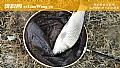 《野钓鲤鱼喜欢吃什么味型的饵料?》封面图