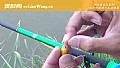玉米钓草鱼用什么打窝?