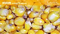 钓草鱼玉米粒用什么泡制?