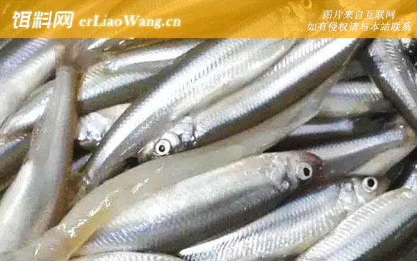 池沼公鱼:分布范围