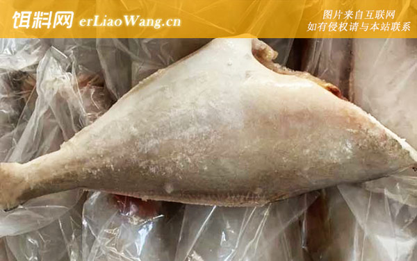 剥皮鱼:分布范围