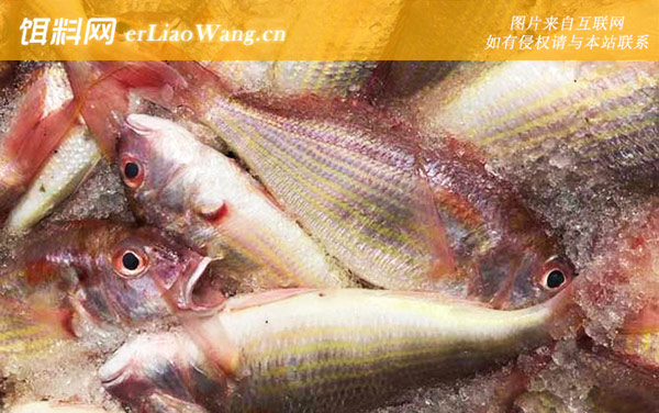 红杉鱼:分布范围