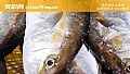 《鰤鱼是什么鱼?》封面图