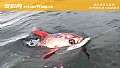 《月亮鱼是什么鱼?》封面图