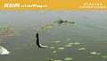 《白条鱼是海鱼还是河鱼？》封面图