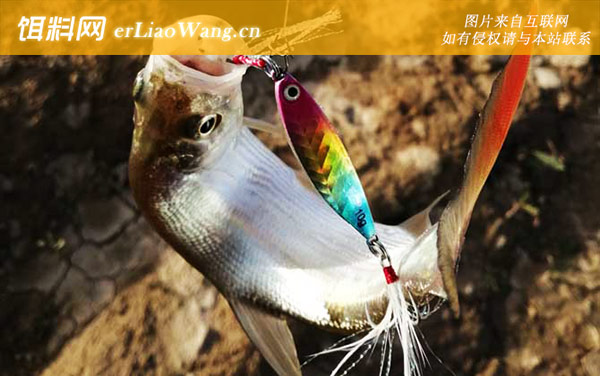 路亚翘嘴:作钓技巧