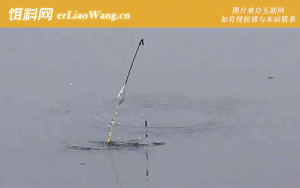 台钓:调漂技巧