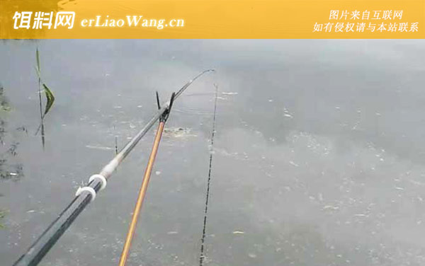 台钓:调漂过程
