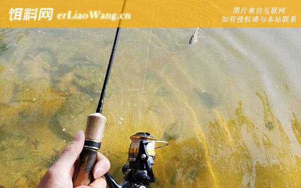 什么样的地方适合钓路亚-拟饵种类
