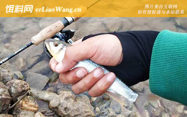 什么样的地方适合钓路亚-目标鱼种